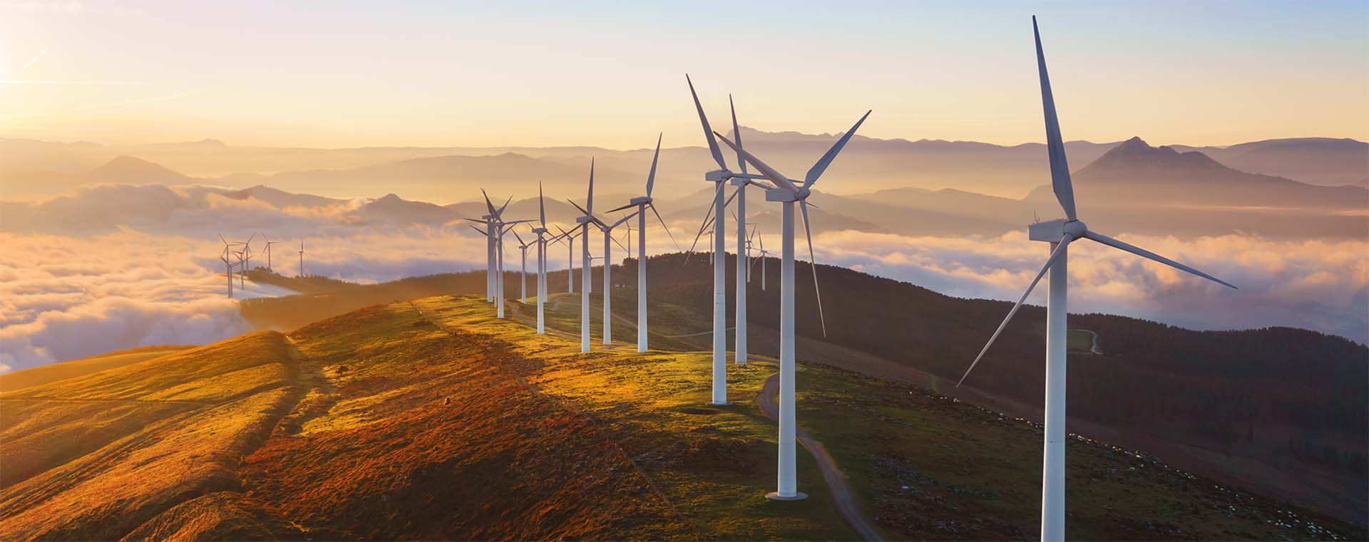 Vision, Mission et Valeurs