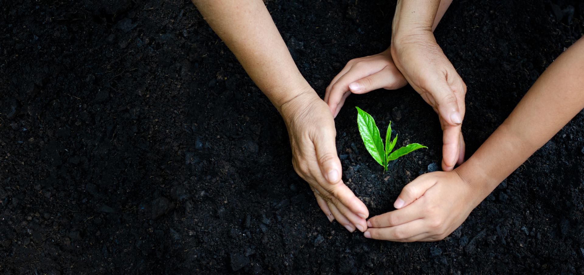 Les programmes que nous soutenons