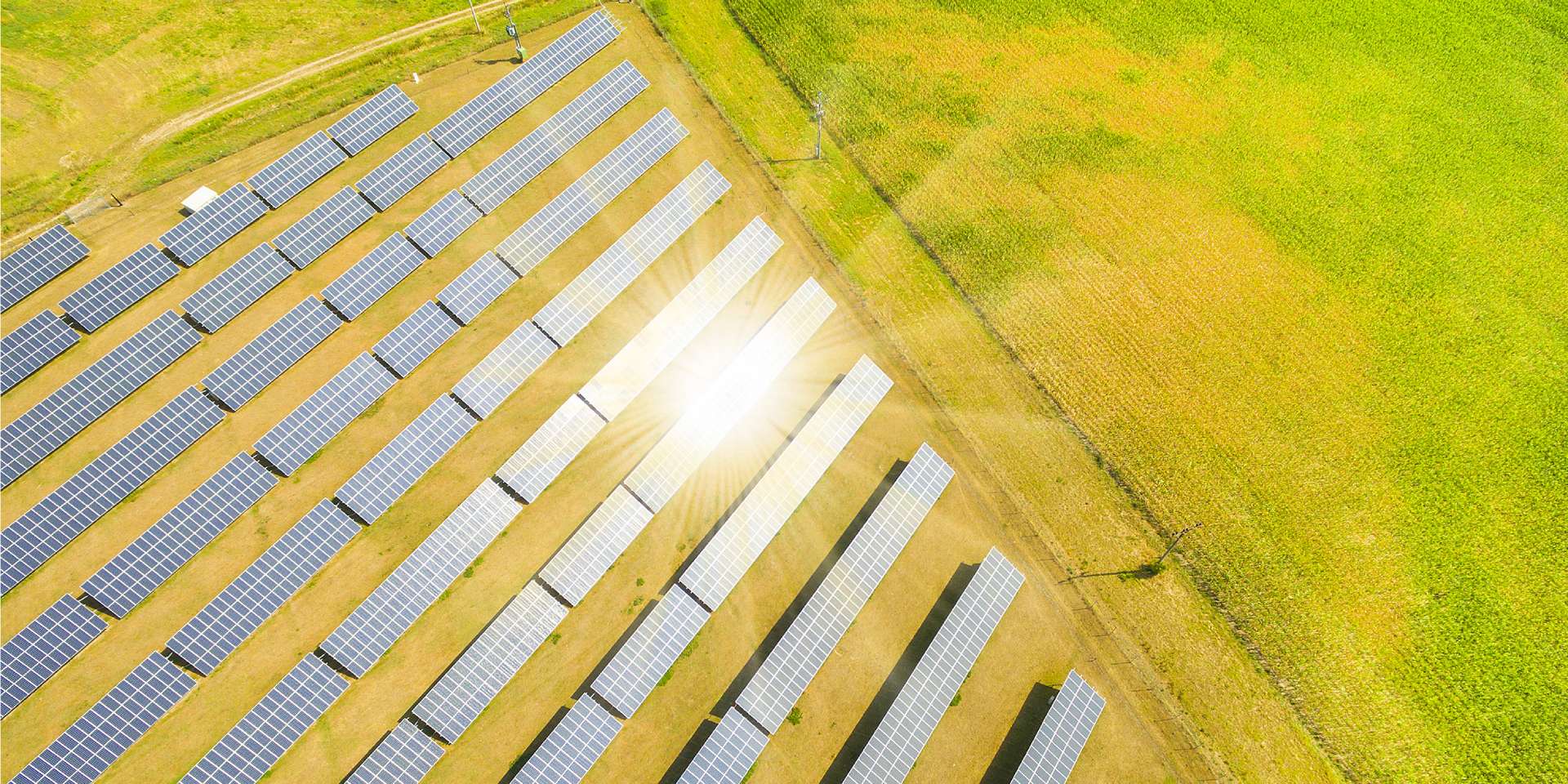 TAQA Morocco remporte 5 lots pour le développement de sites solaires